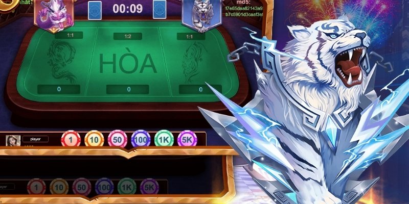 Quan sát chuỗi kết quả liên tiếp là bước quan trọng khi bắt cầu rồng hổ